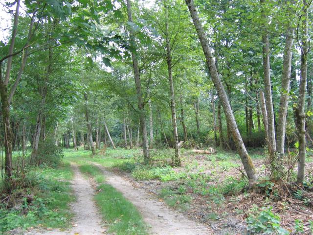 Kosbab Dirt Road.JPG Kosbab Dirt Road.JPG